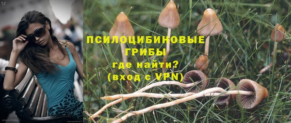винт Ладушкин