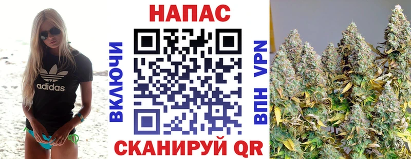 где купить Полтавская МАРИХУАНА планчик